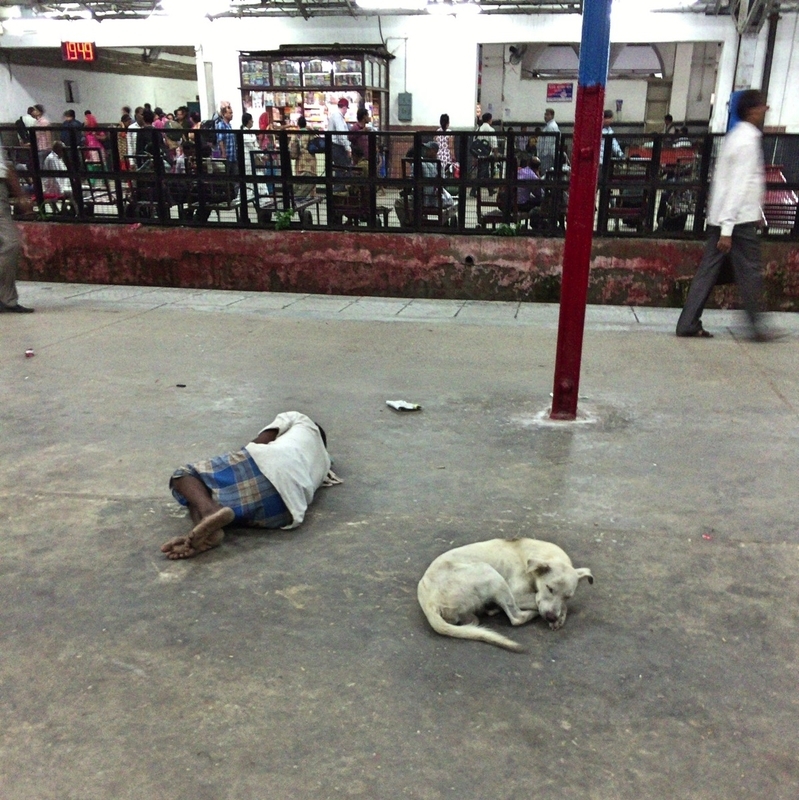 indiarale2.jpg Indiarale2