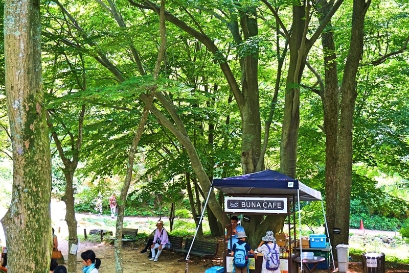 bunacafe.jpg Bunacafe