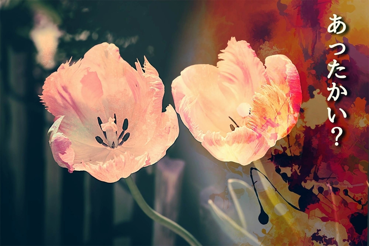 f:id:zerounisan:20190506132233j:plain f:id:zerounisan:20190506132233j:plain