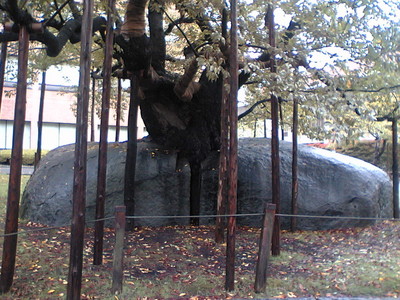 f:id:zery:20061012235508j:image f:id:zery:20061012235508j:image