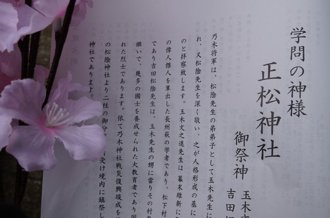 DSC05248