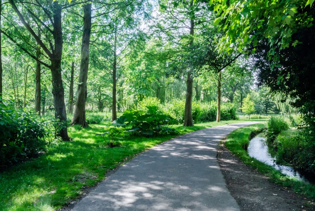 f:id:zettaigoukaku-swpsw:20161215123552j:plain f:id:zettaigoukaku-swpsw:20161215123552j:plain