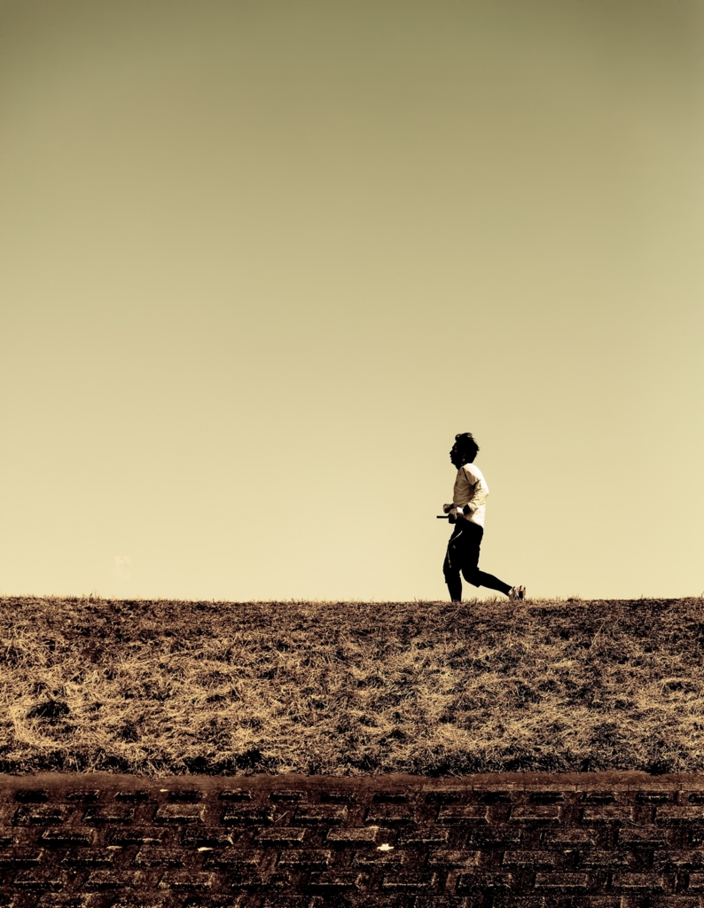 f:id:zettaigoukaku-swpsw:20161230214116j:plain f:id:zettaigoukaku-swpsw:20161230214116j:plain