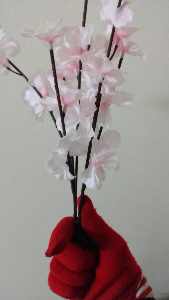f:id:zettaigoukaku-swpsw:20170314214913j:plain