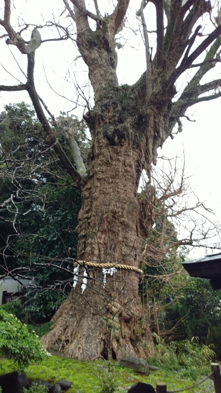 f:id:zettaigoukaku-swpsw:20170408122052j:plain