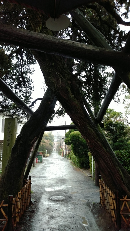 f:id:zettaigoukaku-swpsw:20170408163237j:plain