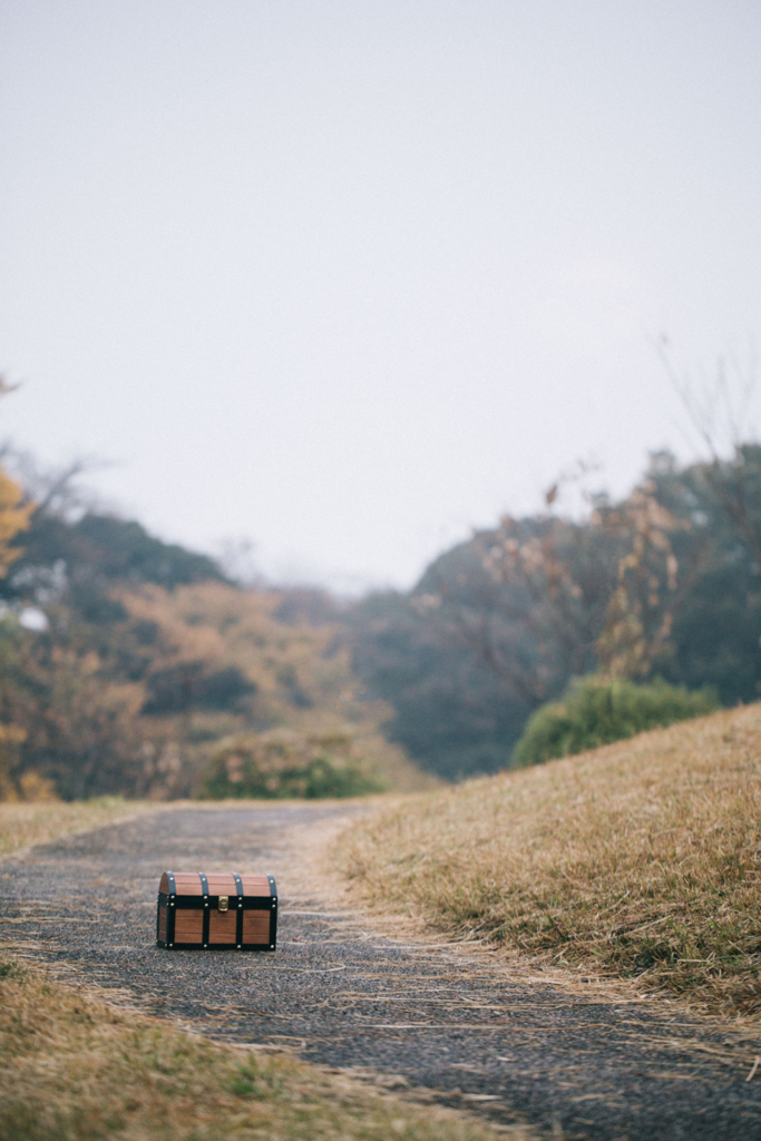 f:id:zettaigoukaku-swpsw:20170408210846j:plain