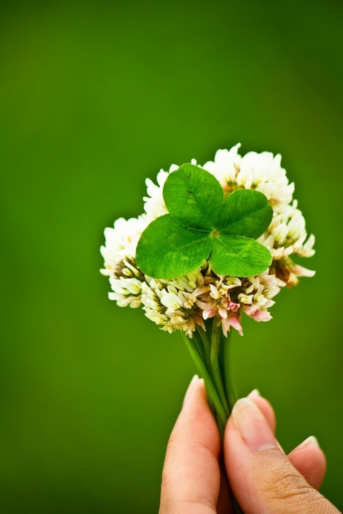 f:id:zettaigoukaku-swpsw:20180102184425j:plain f:id:zettaigoukaku-swpsw:20180102184425j:plain