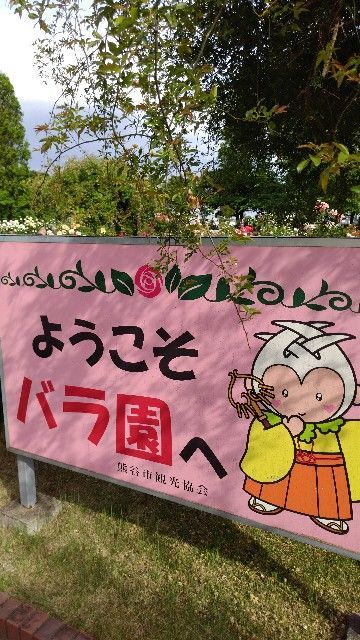 f:id:zettaigoukaku-swpsw:20190518171531j:plain