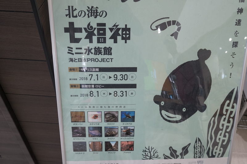 f:id:zettaigoukaku-swpsw:20190623143226j:plain f:id:zettaigoukaku-swpsw:20190623143226j:plain