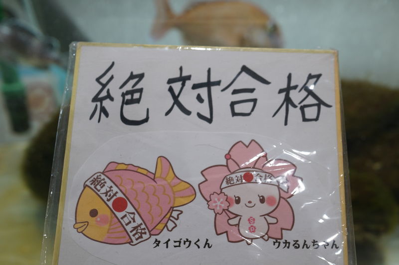 f:id:zettaigoukaku-swpsw:20190623143353j:plain f:id:zettaigoukaku-swpsw:20190623143353j:plain