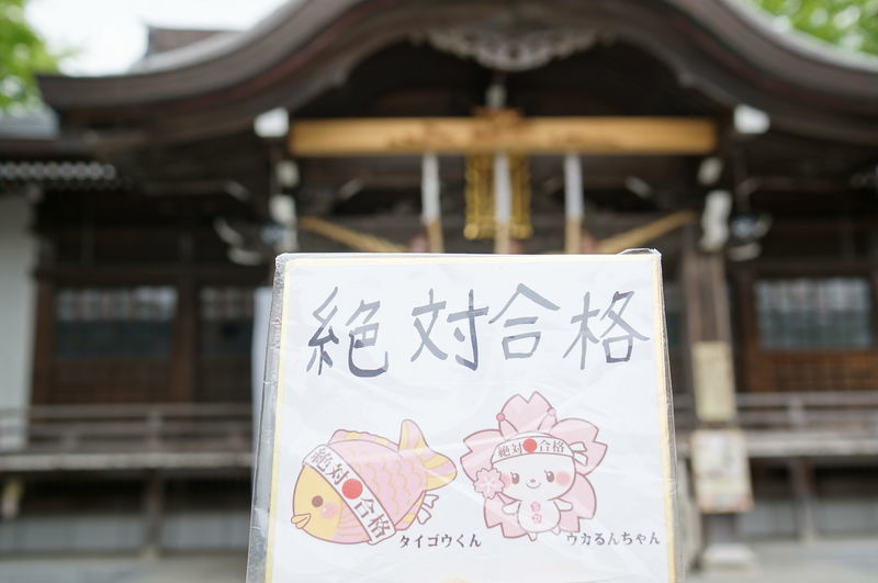 f:id:zettaigoukaku-swpsw:20190623145036j:plain f:id:zettaigoukaku-swpsw:20190623145036j:plain