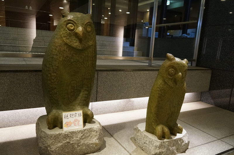 f:id:zettaigoukaku-swpsw:20190706145922j:plain