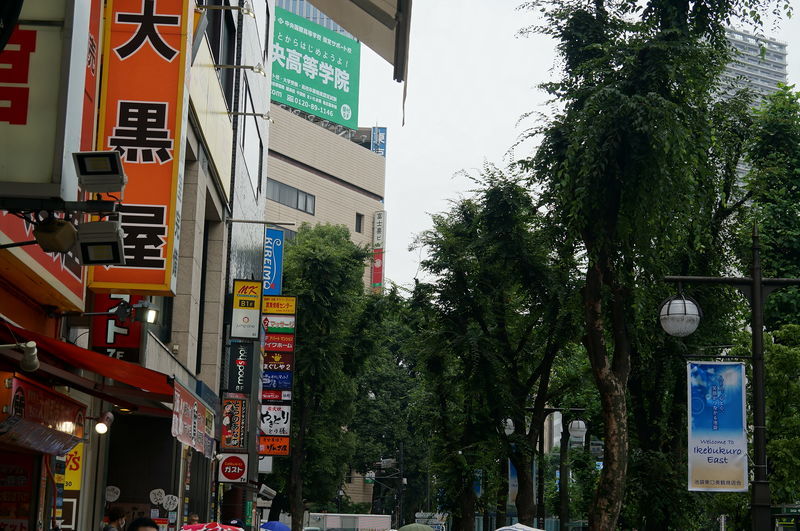 f:id:zettaigoukaku-swpsw:20190706150121j:plain f:id:zettaigoukaku-swpsw:20190706150121j:plain