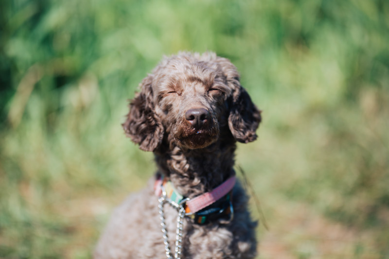 f:id:zettaigoukaku-swpsw:20200312205615p:plain f:id:zettaigoukaku-swpsw:20200312205615p:plain