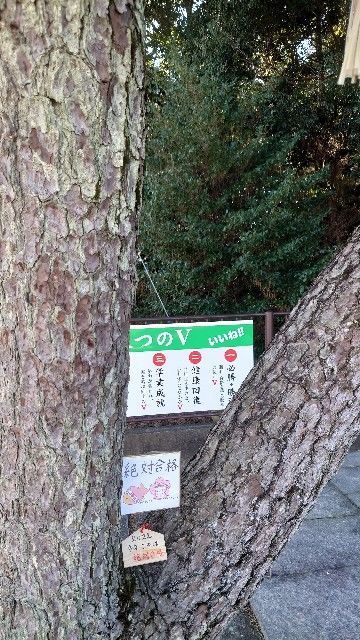 f:id:zettaigoukaku-swpsw:20220203214030j:plain