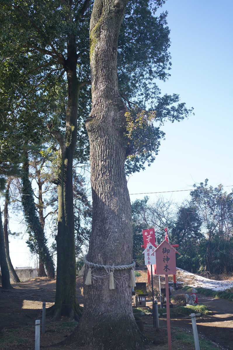 f:id:zettaigoukaku-swpsw:20220211144506j:plain