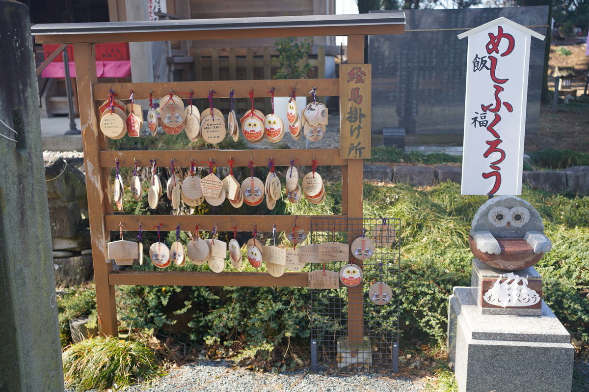 f:id:zettaigoukaku-swpsw:20220211144529j:plain