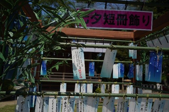 f:id:zettaigoukaku-swpsw:20220702155649j:image f:id:zettaigoukaku-swpsw:20220702155649j:image
