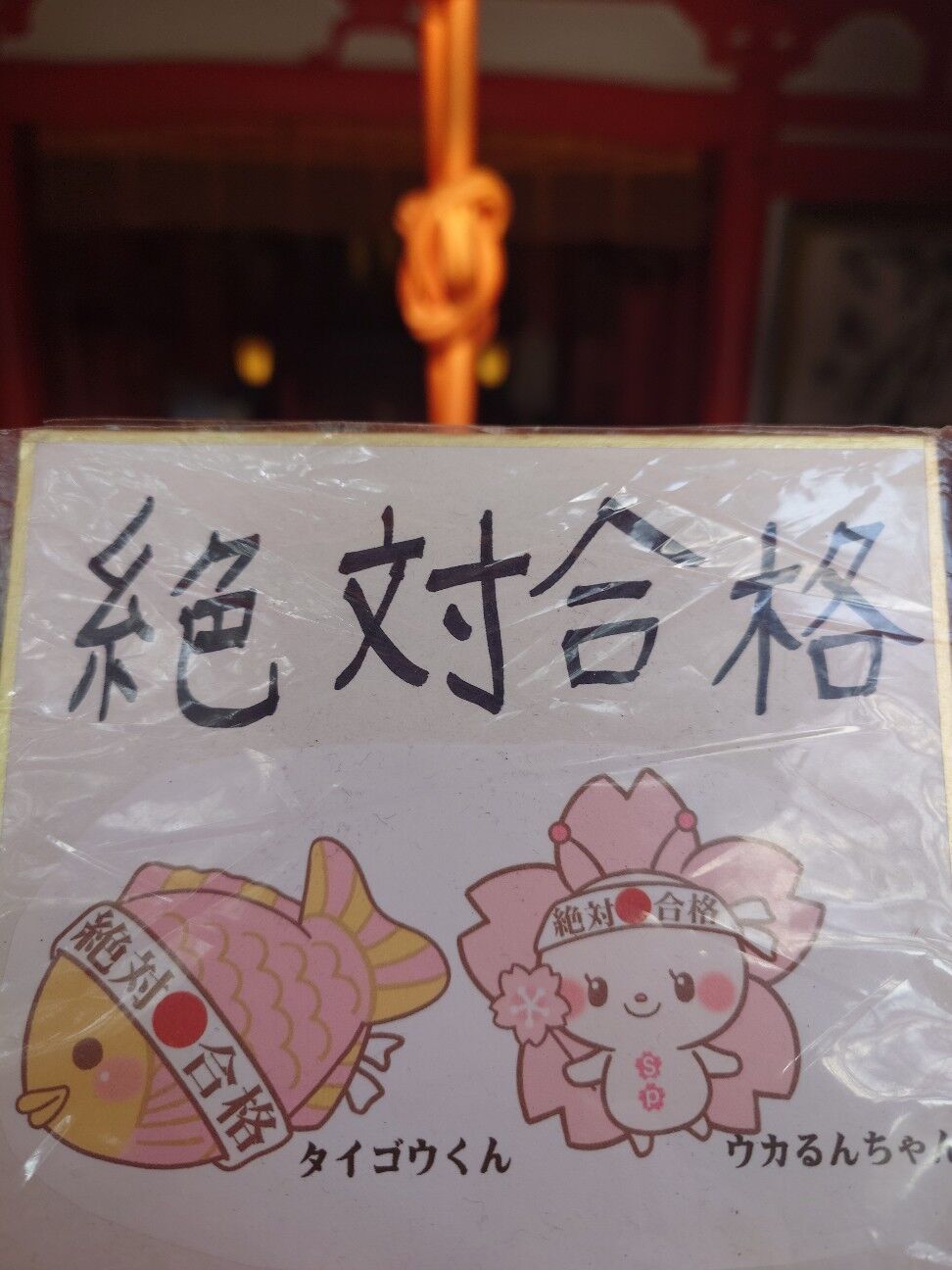 f:id:zettaigoukaku-swpsw:20260206162739j:image