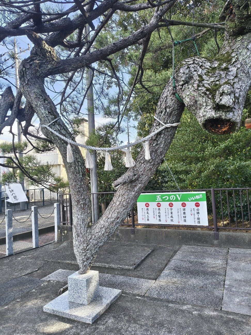f:id:zettaigoukaku-swpsw:20260221174009j:image