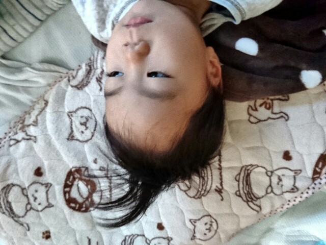 f:id:zettan:20161208105350j:plain