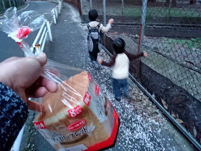 f:id:zettan:20170416073923j:plain