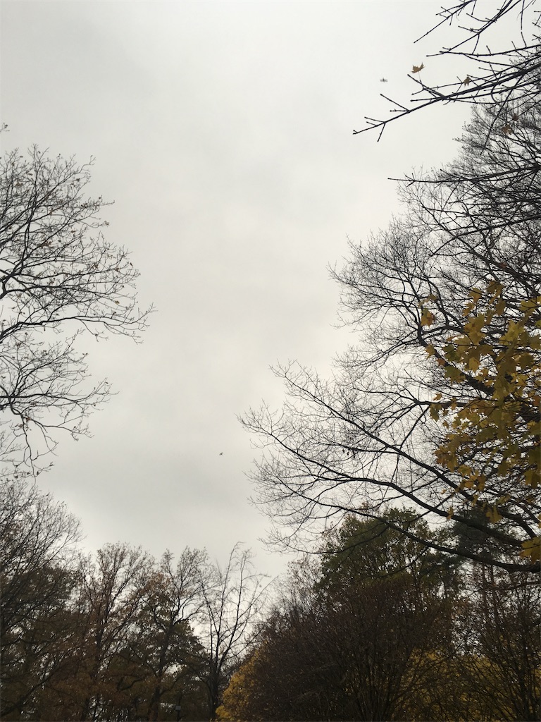 f:id:zevenentwintig27:20190112215635j:image f:id:zevenentwintig27:20190112215635j:image