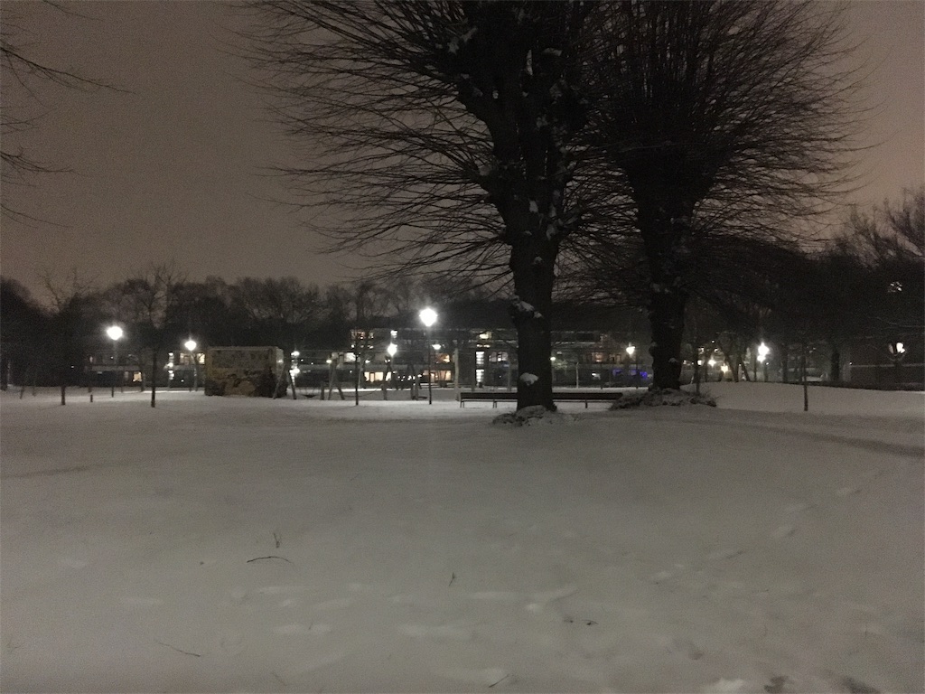 f:id:zevenentwintig27:20190330072414j:image