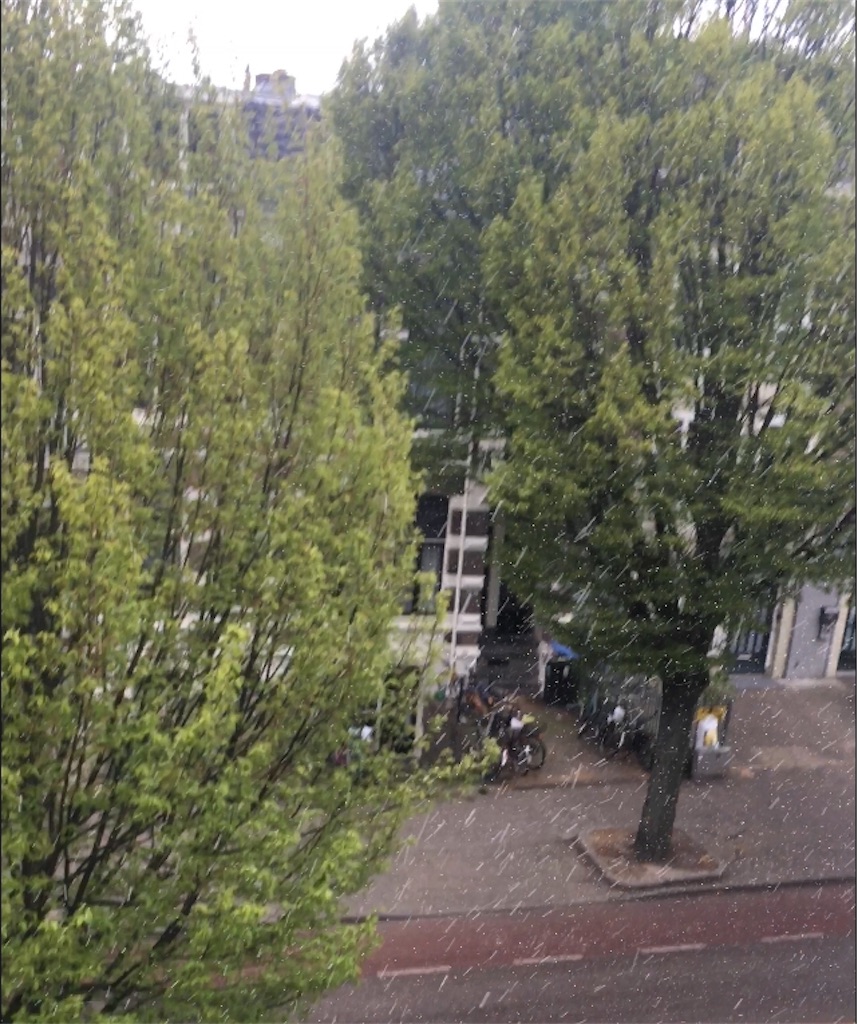 f:id:zevenentwintig27:20190414044918j:image