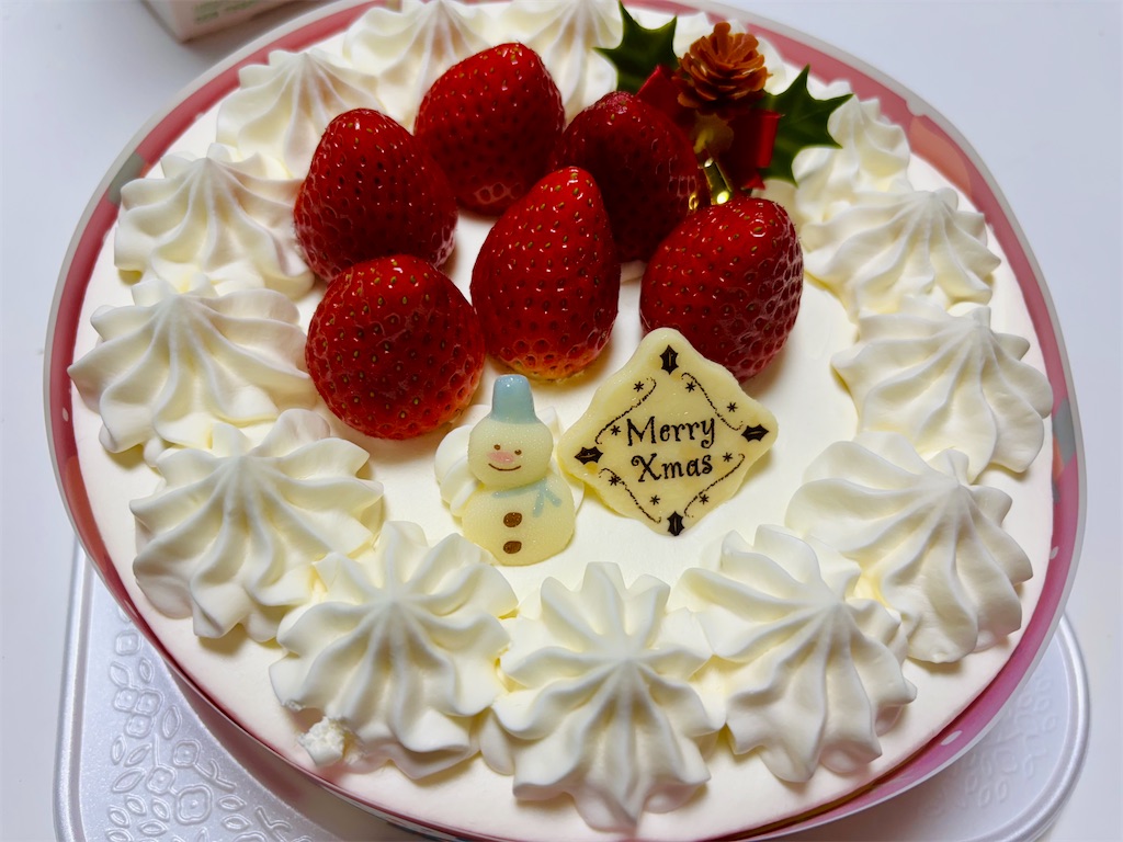 f:id:zfinchyan:20241229111715j:image
