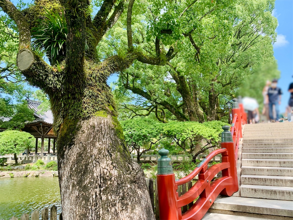 f:id:zfinchyan:20250723112832j:image f:id:zfinchyan:20250723112832j:image