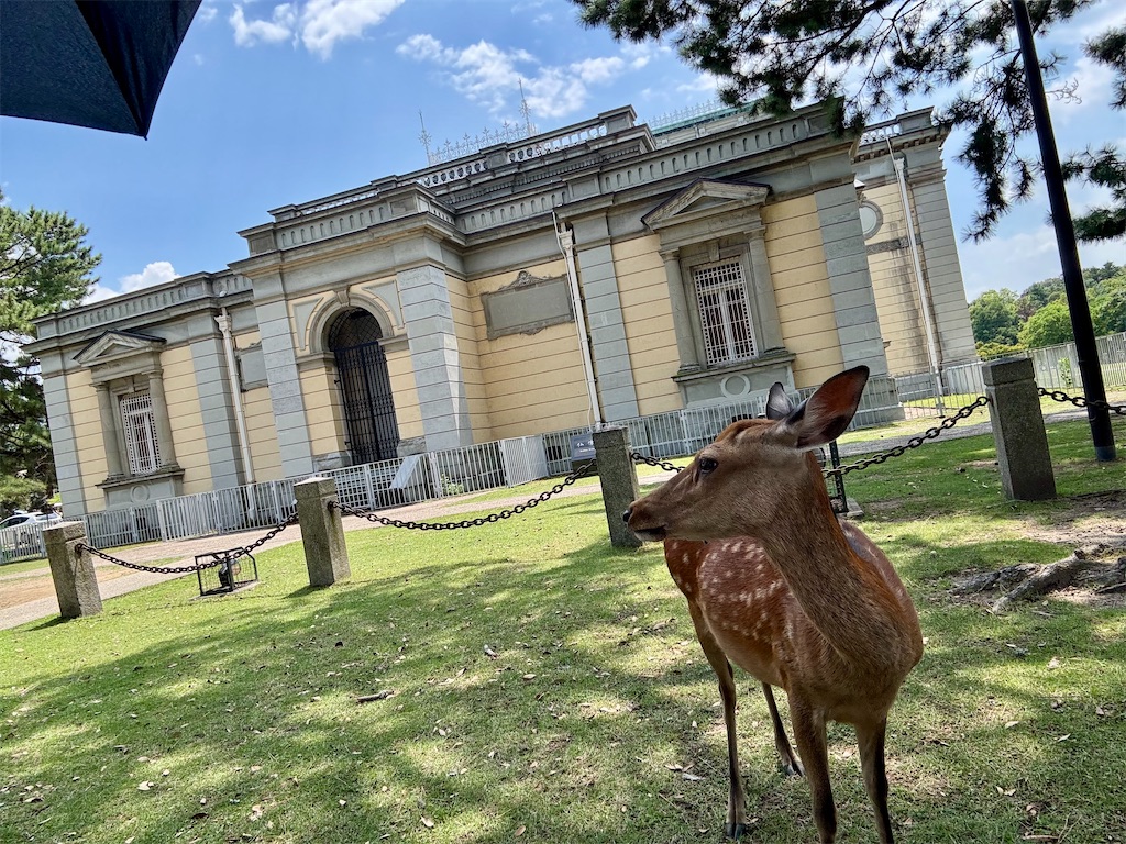 f:id:zfinchyan:20250818114710j:image f:id:zfinchyan:20250818114710j:image