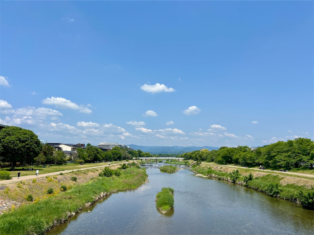 f:id:zfinchyan:20260607213311j:image