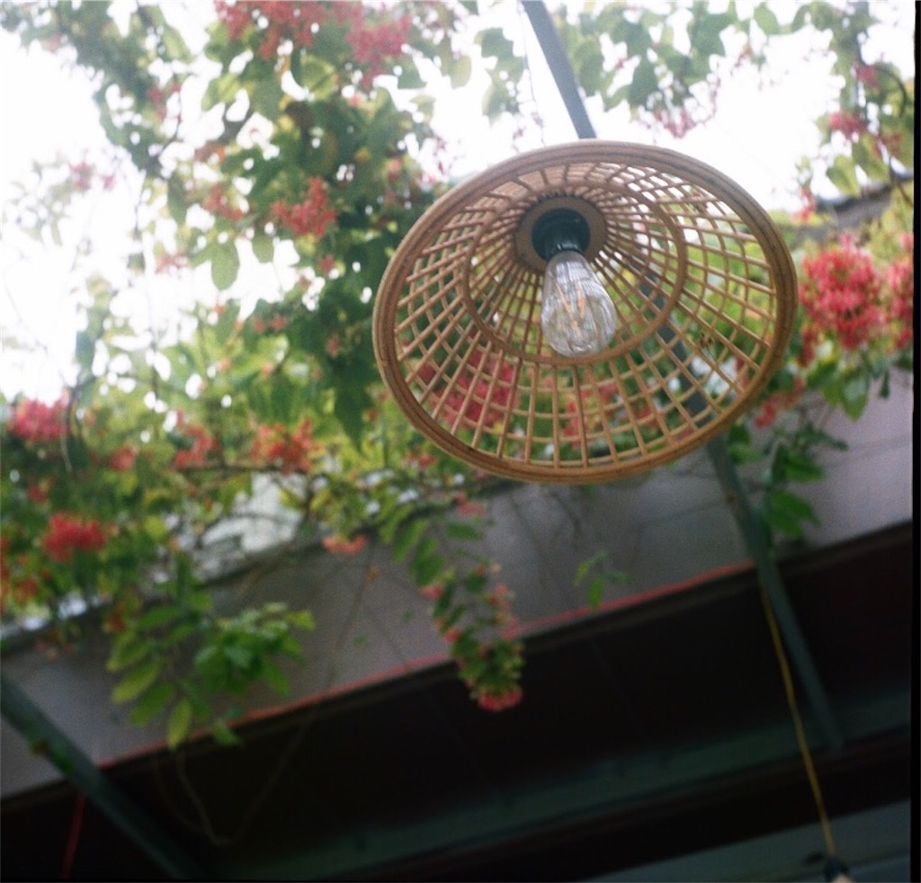 f:id:zhenmei_mei:20200112032605j:image f:id:zhenmei_mei:20200112032605j:image