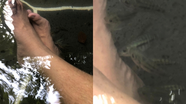 f:id:zhenshux:20191117193915j:plain f:id:zhenshux:20191117193915j:plain