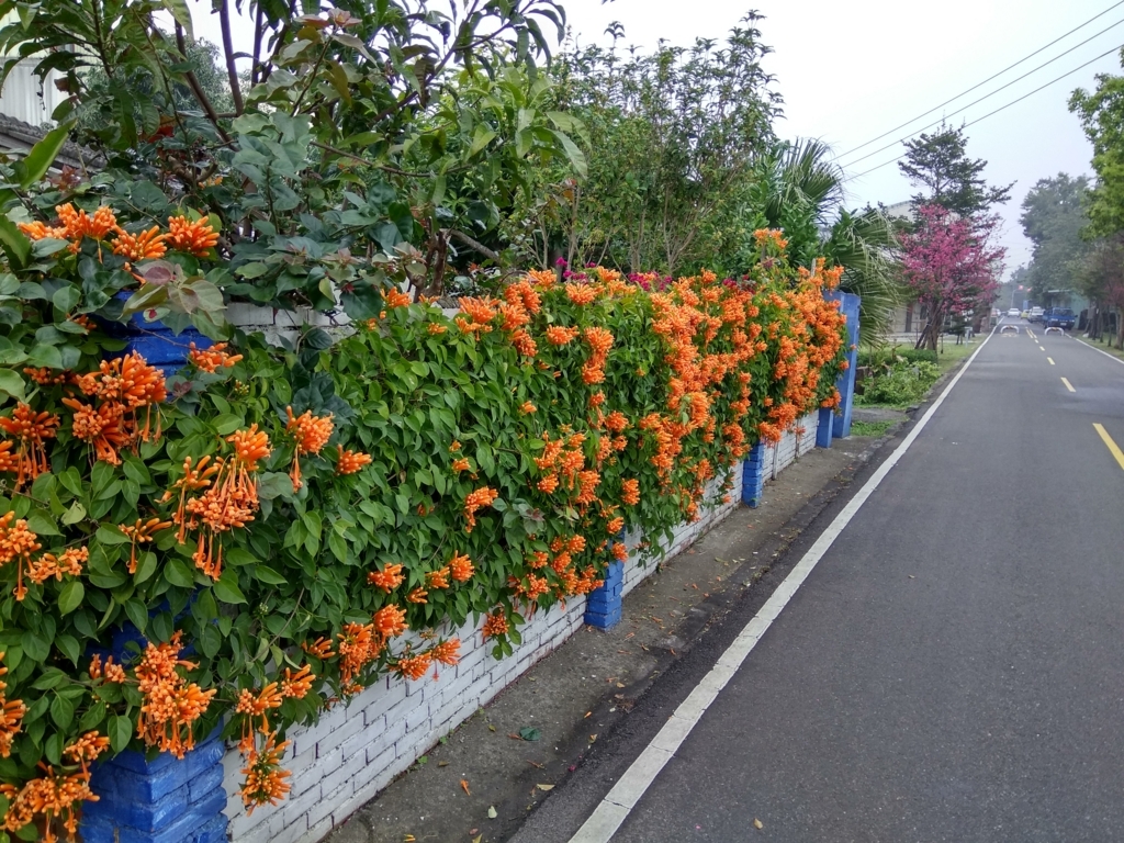 f:id:zhizuchangle:20180213000637j:plain