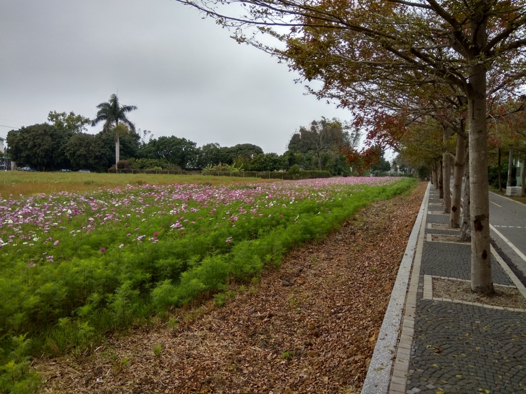 f:id:zhizuchangle:20180213000734j:plain