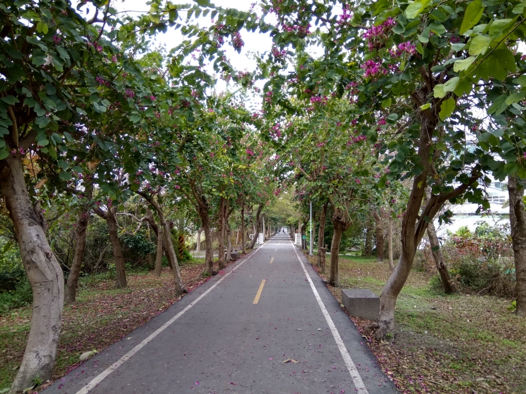 f:id:zhizuchangle:20180213180605j:plain