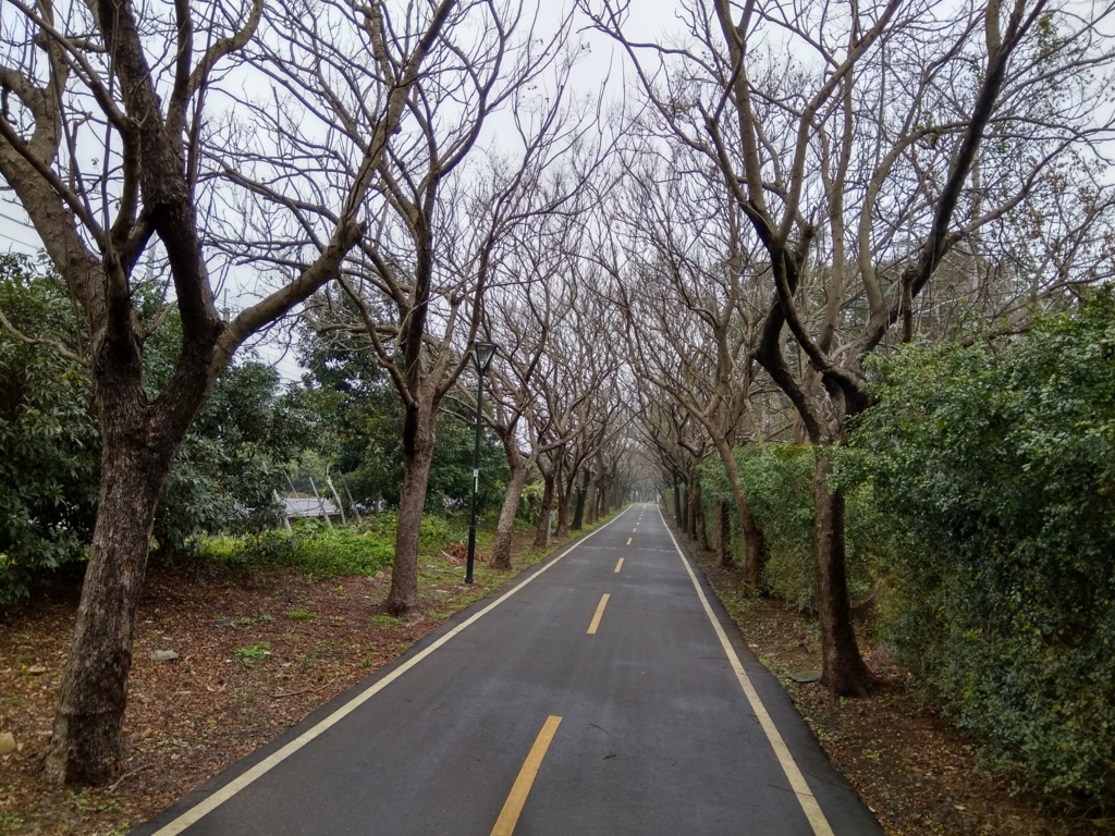 f:id:zhizuchangle:20180213190648j:plain