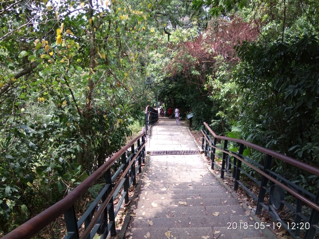 f:id:zhizuchangle:20180521231335j:plain