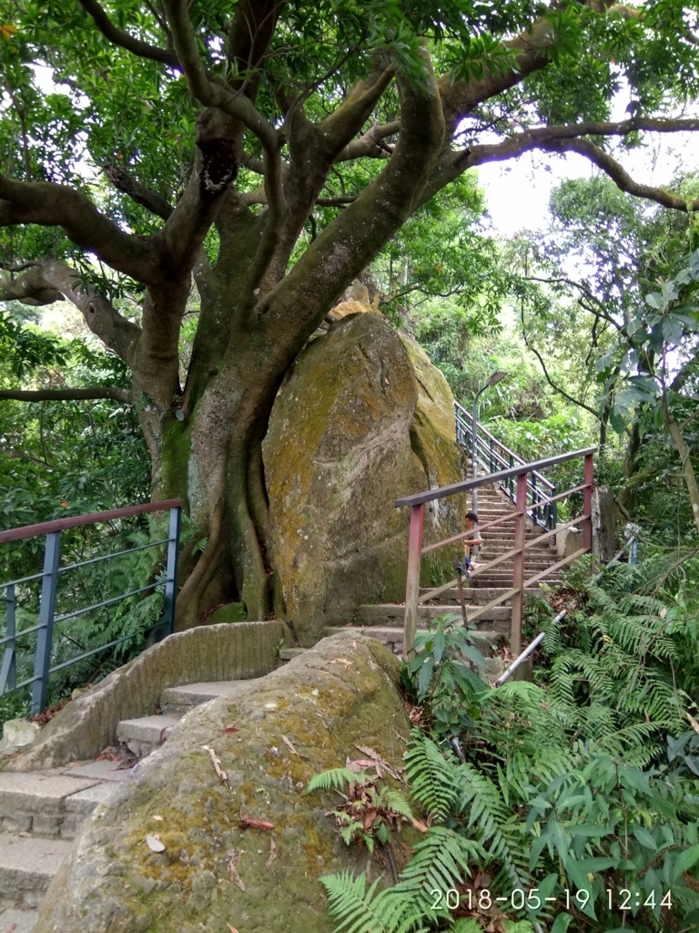 f:id:zhizuchangle:20180521234132j:plain