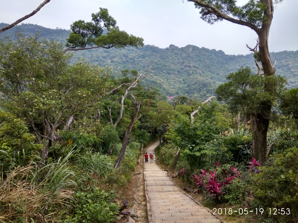 f:id:zhizuchangle:20180521234834j:plain