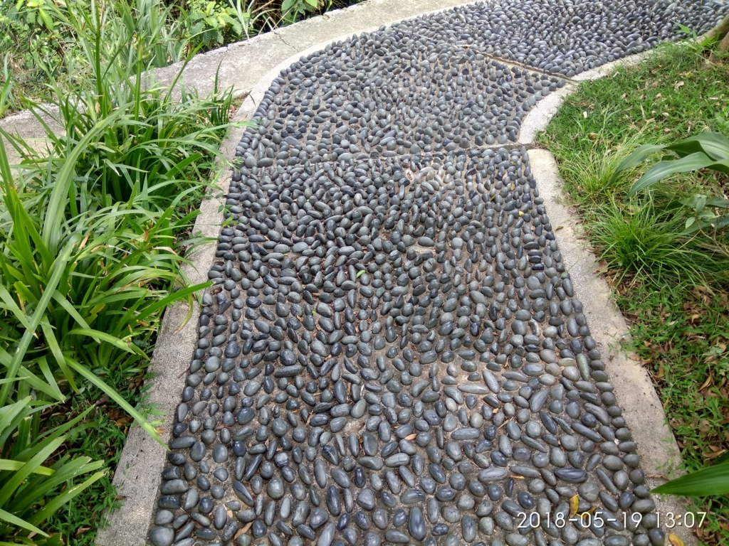 f:id:zhizuchangle:20180522063955j:plain