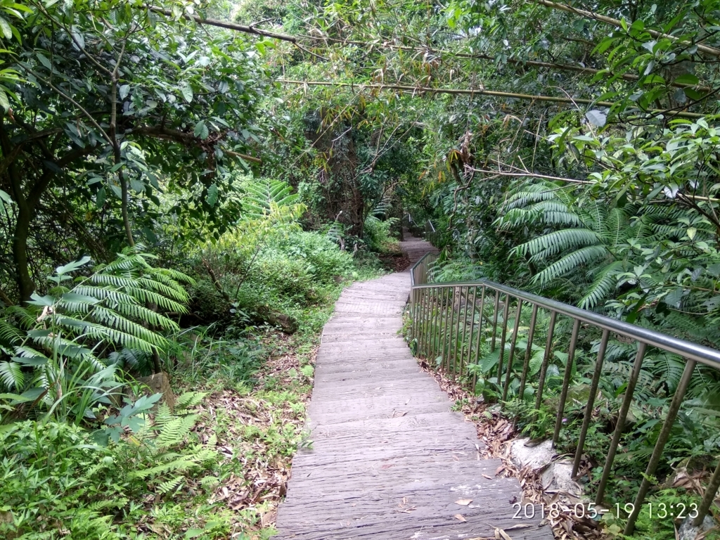 f:id:zhizuchangle:20180522075854j:plain