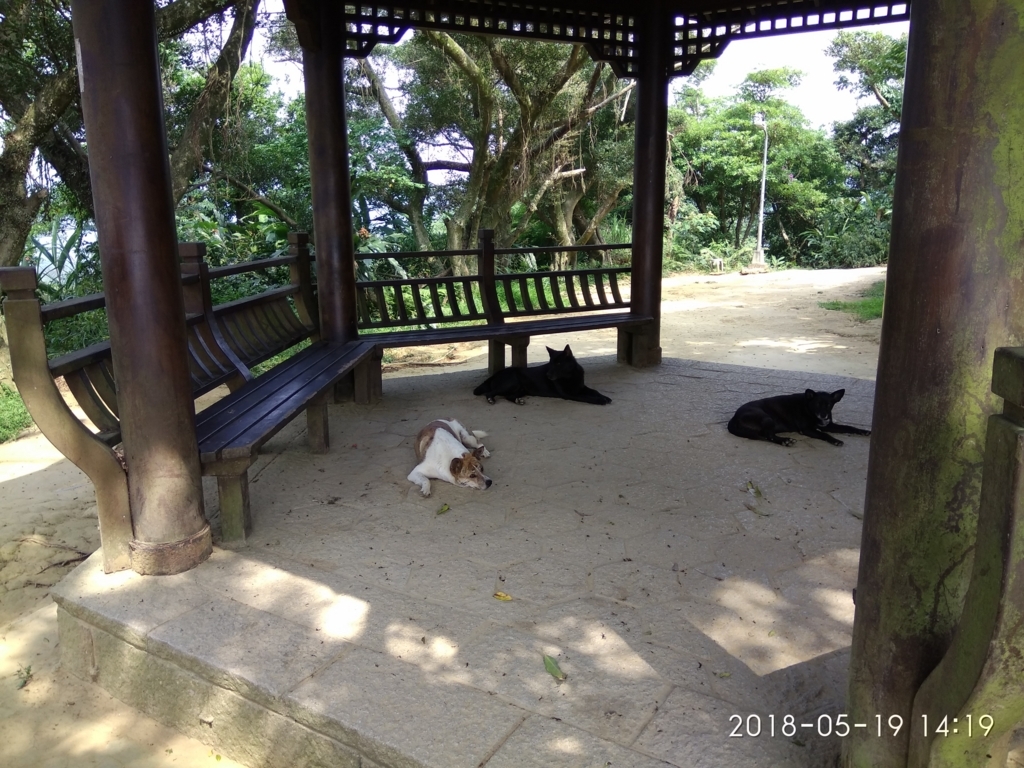 f:id:zhizuchangle:20180522190024j:plain