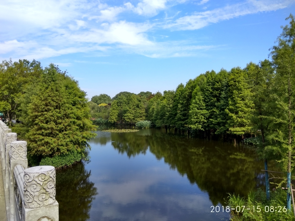 f:id:zhizuchangle:20180716183436j:plain