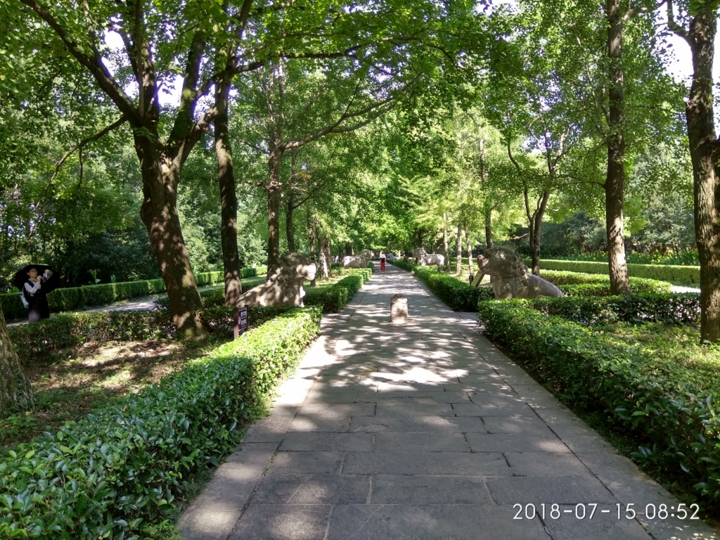 f:id:zhizuchangle:20180716183726j:plain