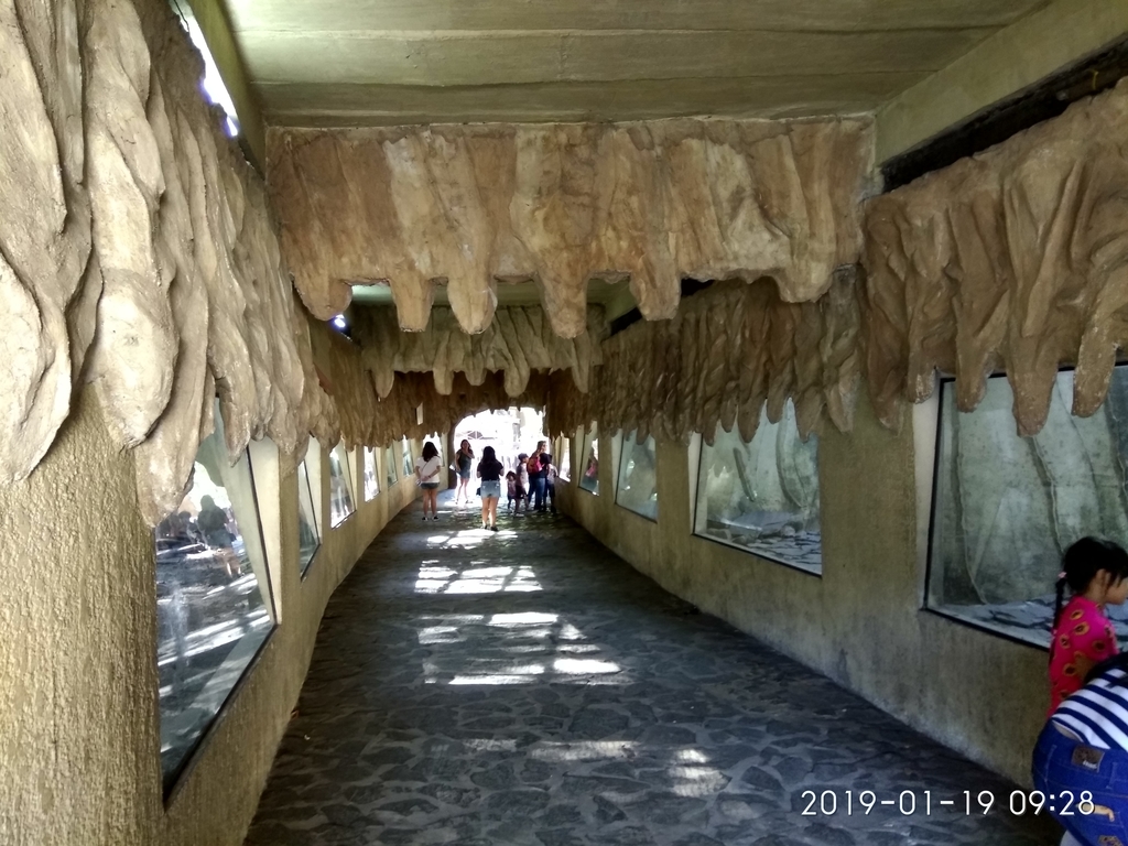 f:id:zhizuchangle:20190124233424j:plain f:id:zhizuchangle:20190124233424j:plain
