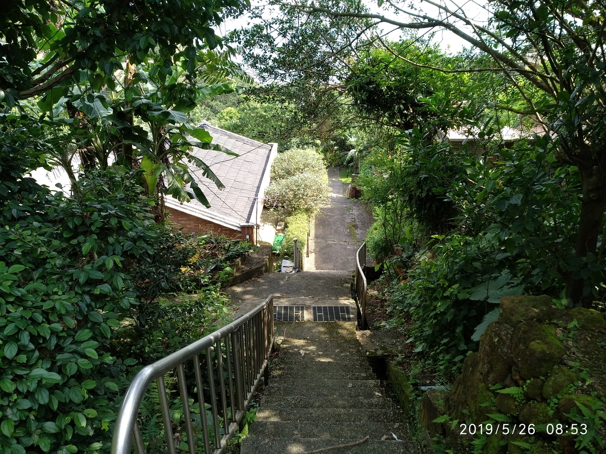 f:id:zhizuchangle:20190527231228j:plain